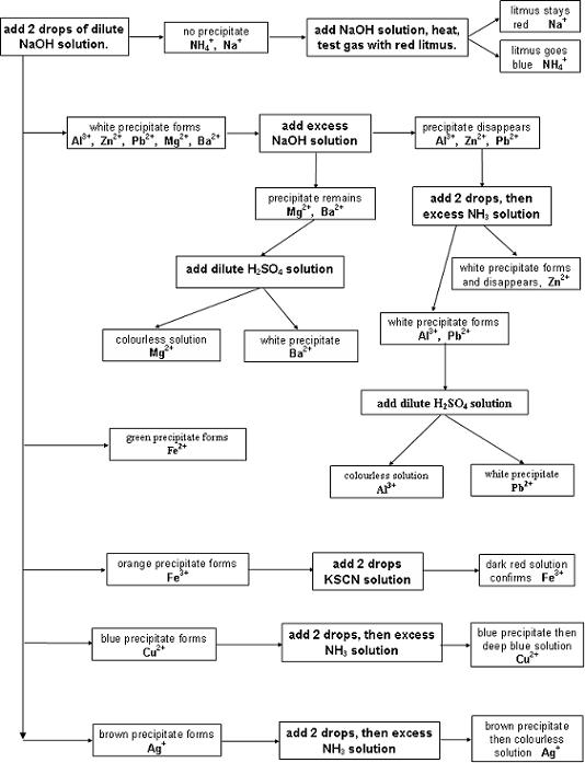 Anion Flow Chart Qualitative Analysis